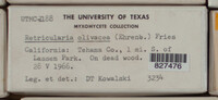 Image Associated With the Occurence